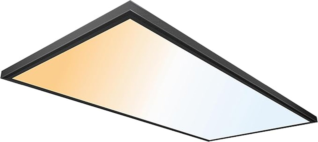matte black ceiling light